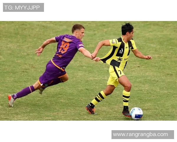 惠灵顿凤凰主场迎战中部海岸球队期待精彩对决与胜利之争